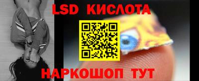 прущие грибы Донской