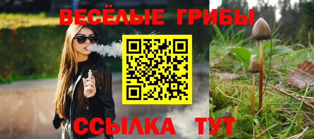 Галлюциногенные грибы мухоморы  Галлюциногенные грибы мухоморы  даркнет сайт  Вход с VPN  Мурино 
